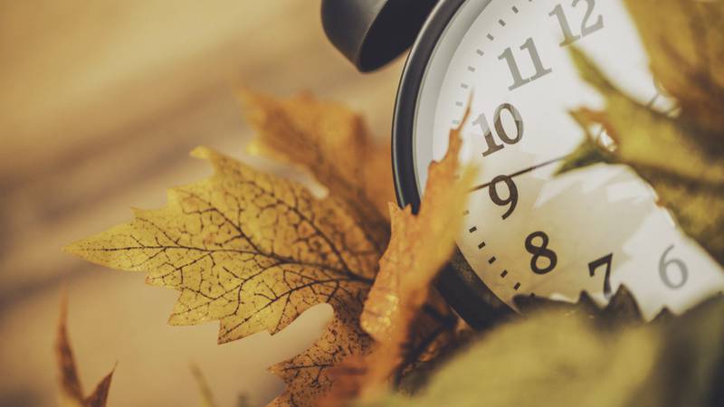 Daylight saving time (DST) ends at 2 a.m. on Sunday, Nov. 5. At that time, you’ll need to set your clocks back (remember “fall back”) one hour.