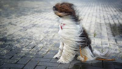 Windy Weather Heading Our Way