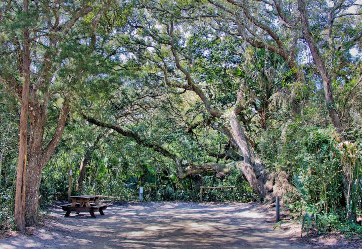 There's plenty of places in Anastasia State Park to take a break from the heat.