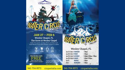 Enter here, and you could win a pair of tickets to Cirque Italia!