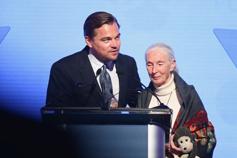 Dr. Jane Goodall