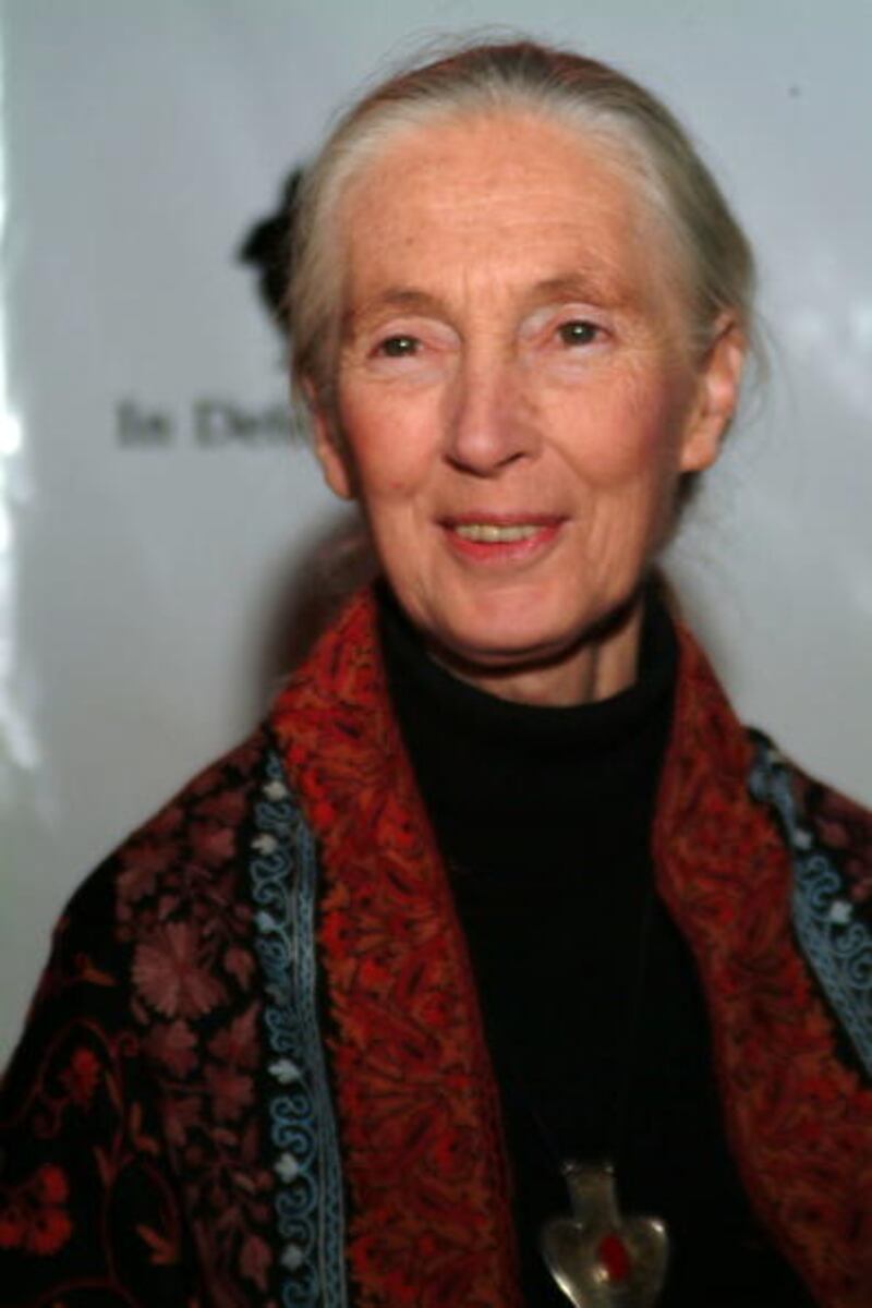 Dr. Jane Goodall