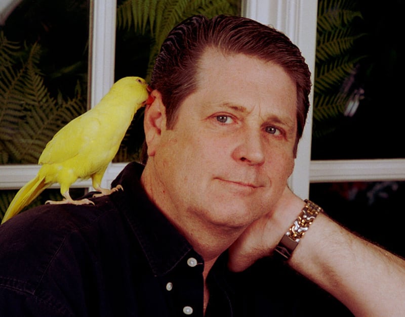 Brian Wilson