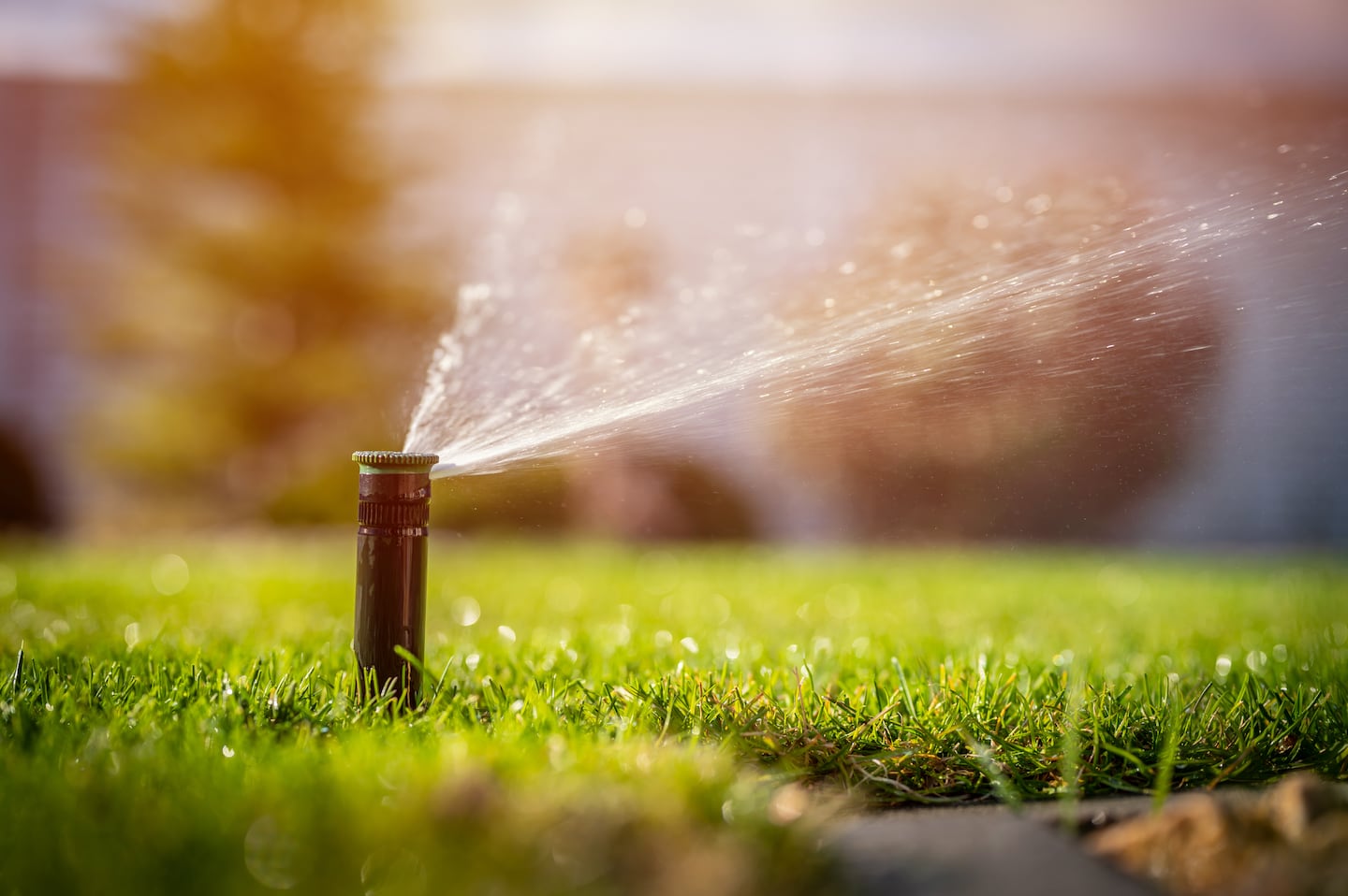 Yard sprinkler