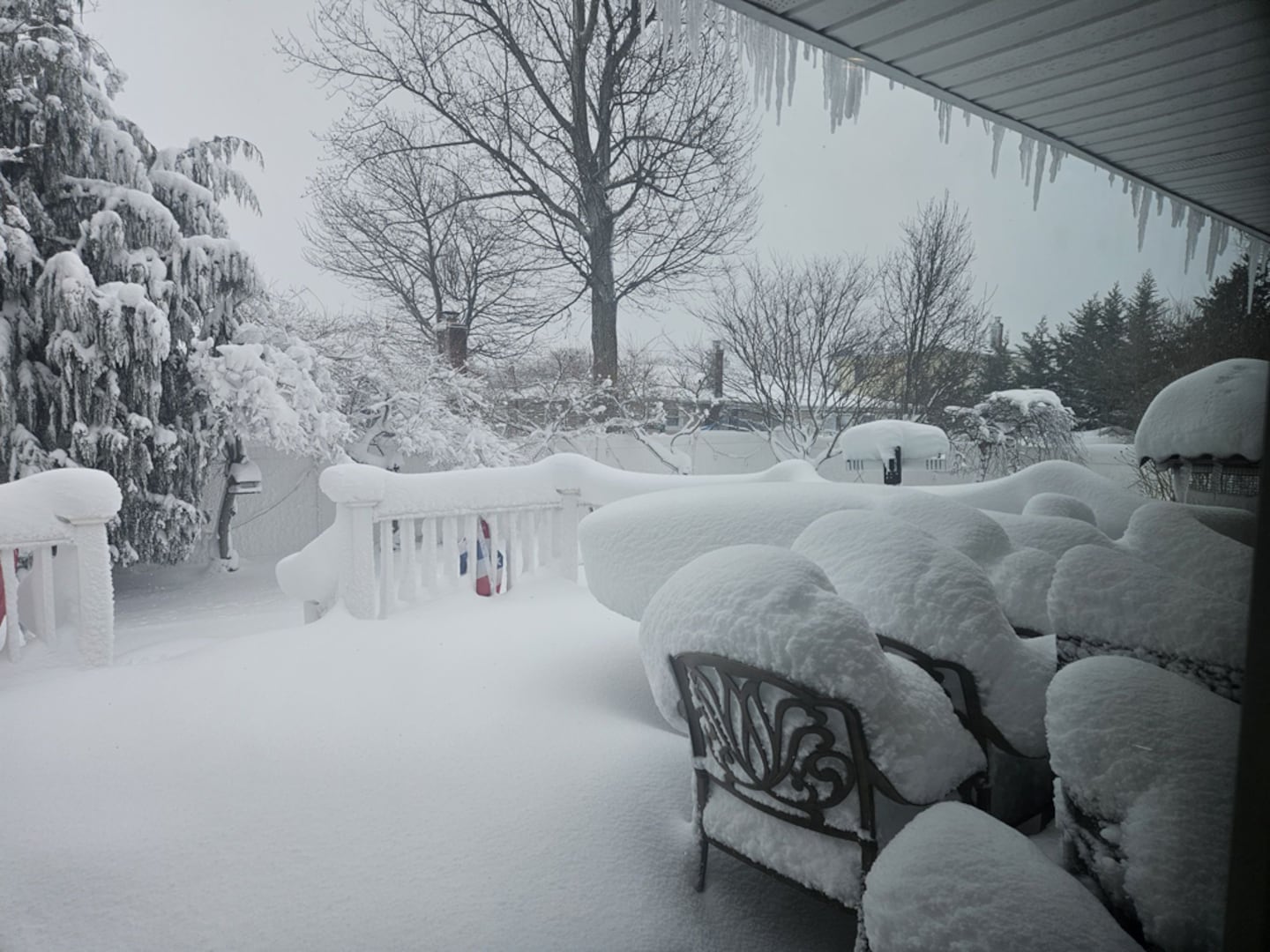 Check out all the snow photos you sent us on February 23rd, 2026. Want to see your photo featured? Upload it now inside our smartphone app.